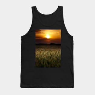 Wheat field at sunset, sun in the frame Tank Top